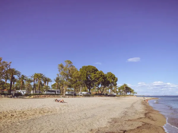 Piaszczysta plaża na kempingu Roan Playa Montroig.