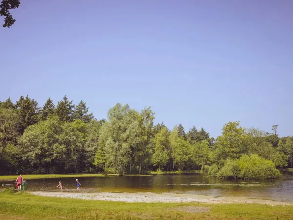 Jezioro na kempingu Roan ' t Veld.